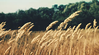 DDOS压力测试网页端